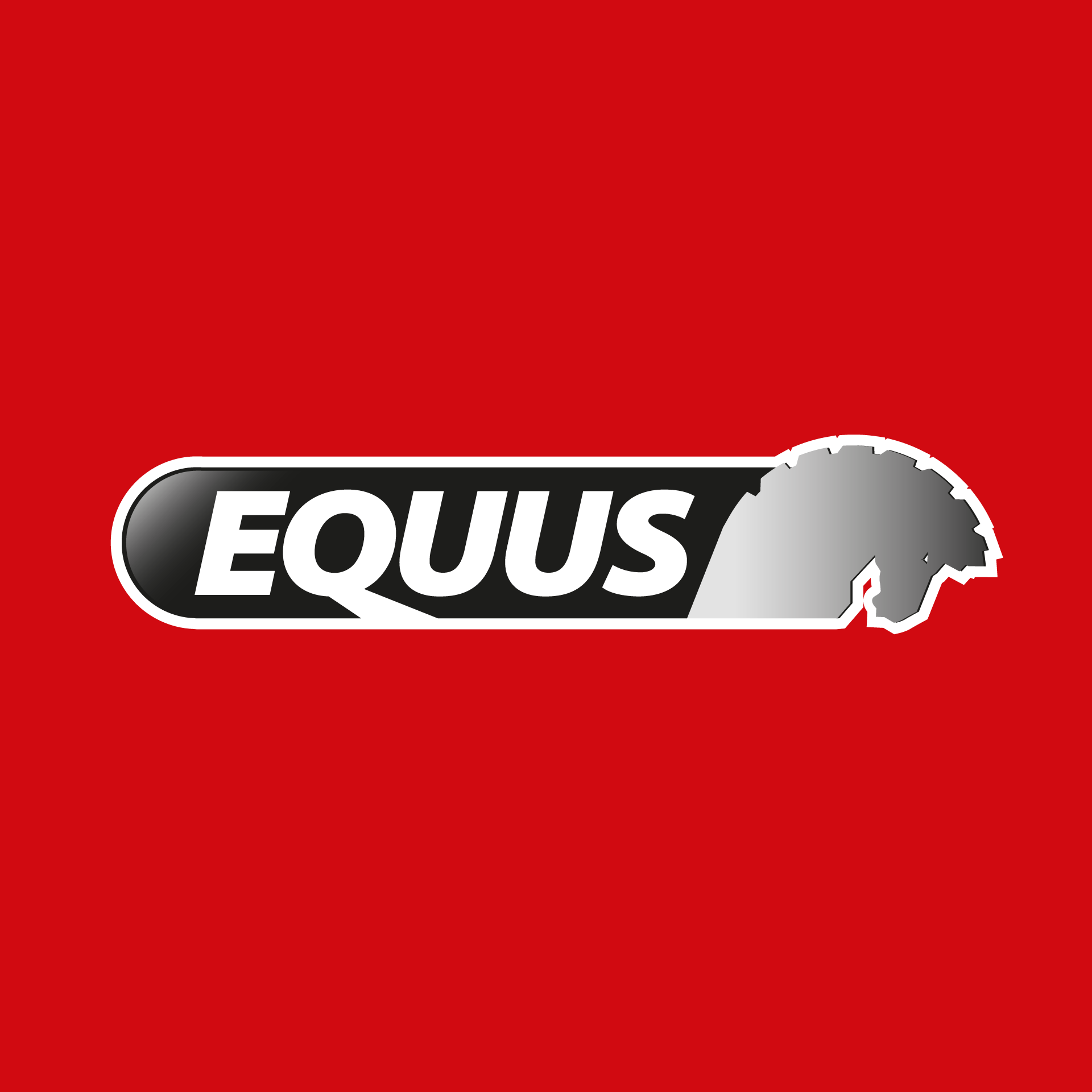 Paletera Manual Equus 2.5Ton