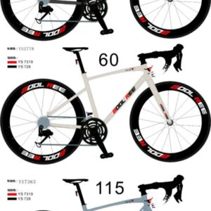 BICICLETA DE PISTA